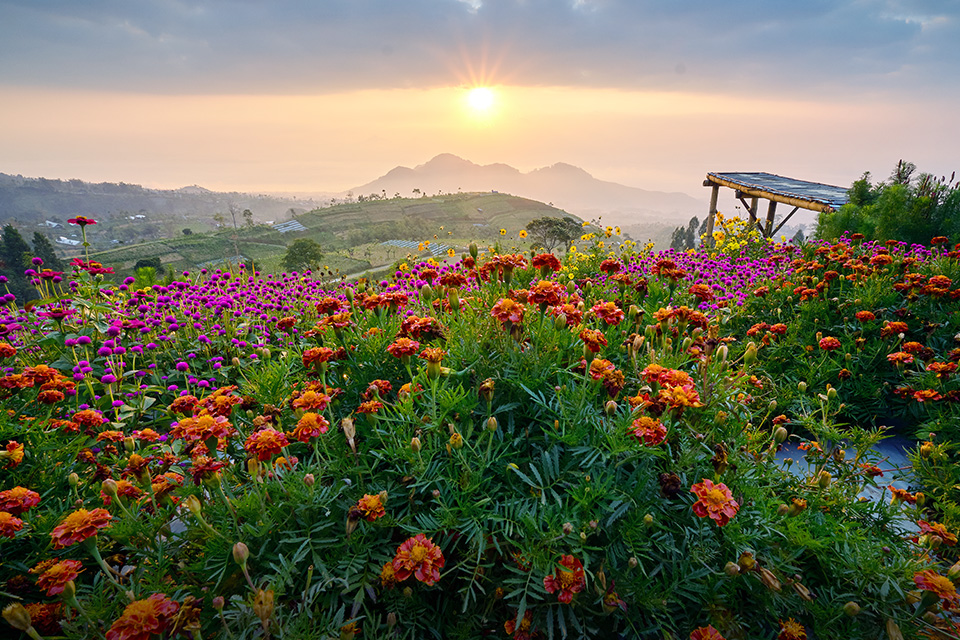 Silancur Highland, Menikmati Indahnya Magelang Berlatarkan Pegunungan