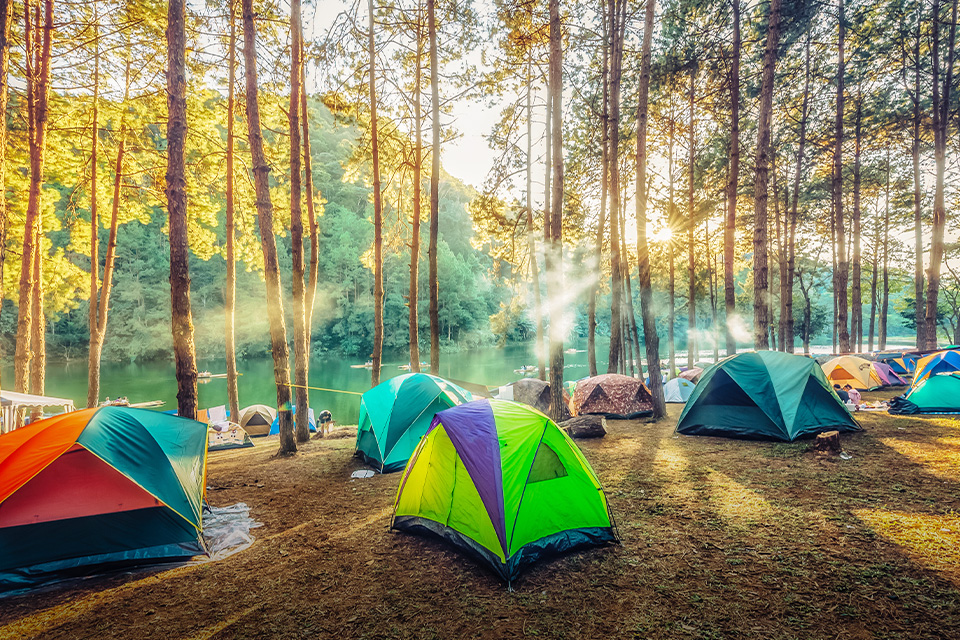 Tempat-tempat Buat Kemah yang Seru di Bogor