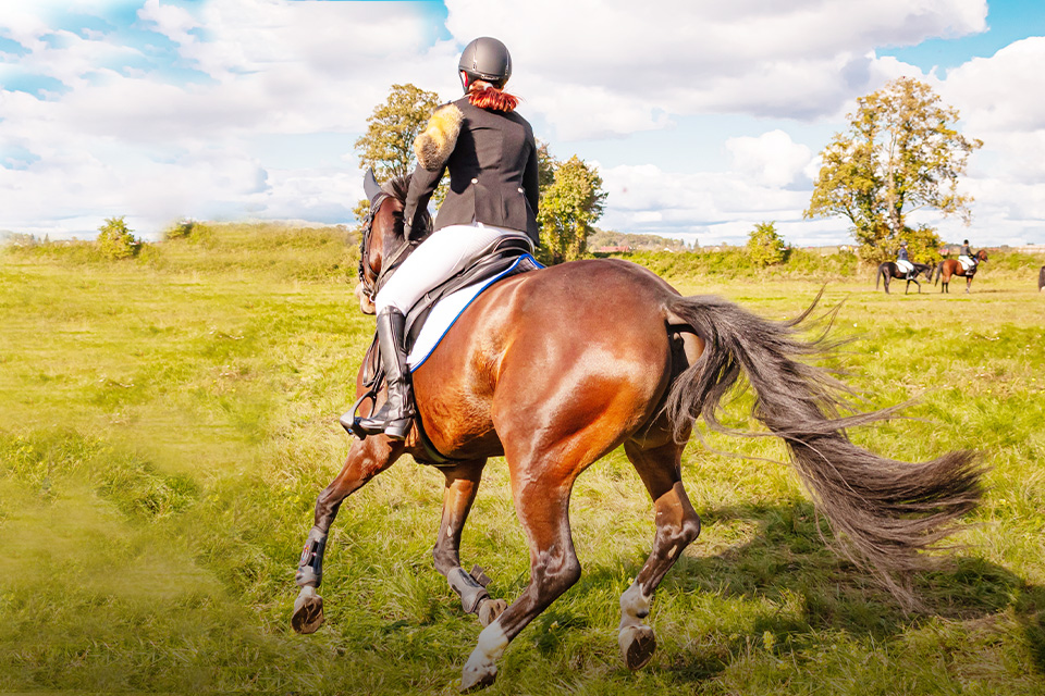 Jenis Olahraga yang Bisa Bikin Postur Tubuh Jadi Sempurna