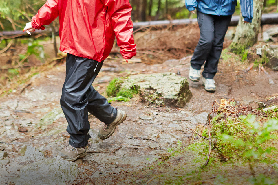 Tips Aman Saat Mendaki Gunung di Musim Hujan