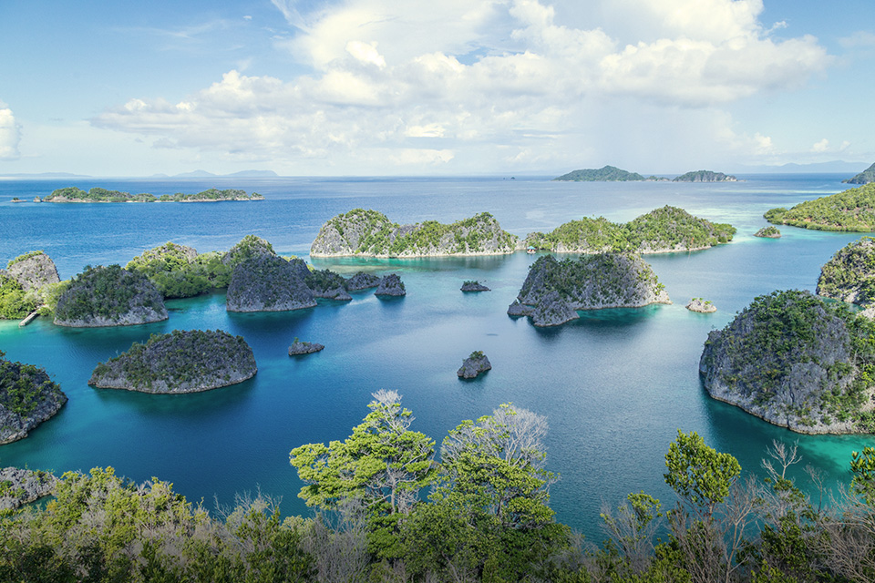 Deretan Fakta Menarik Raja Ampat yang Belum Banyak Orang Tahu!