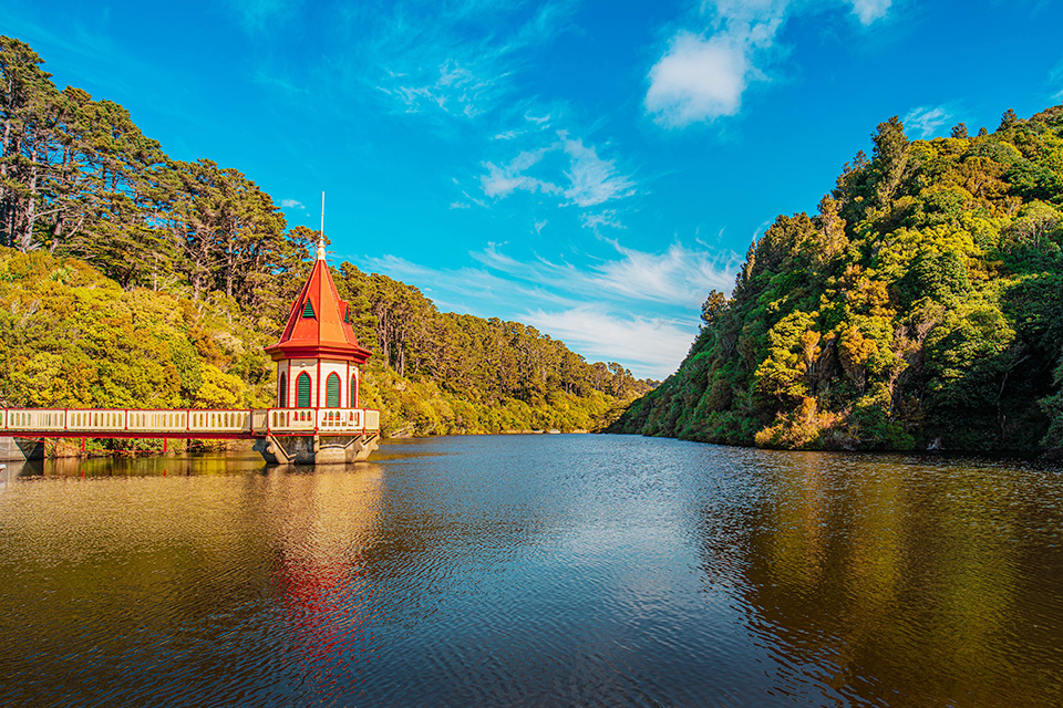 Zealandia, Benua ke-8 yang Telah Tenggelam 23 Juta Tahun Lalu