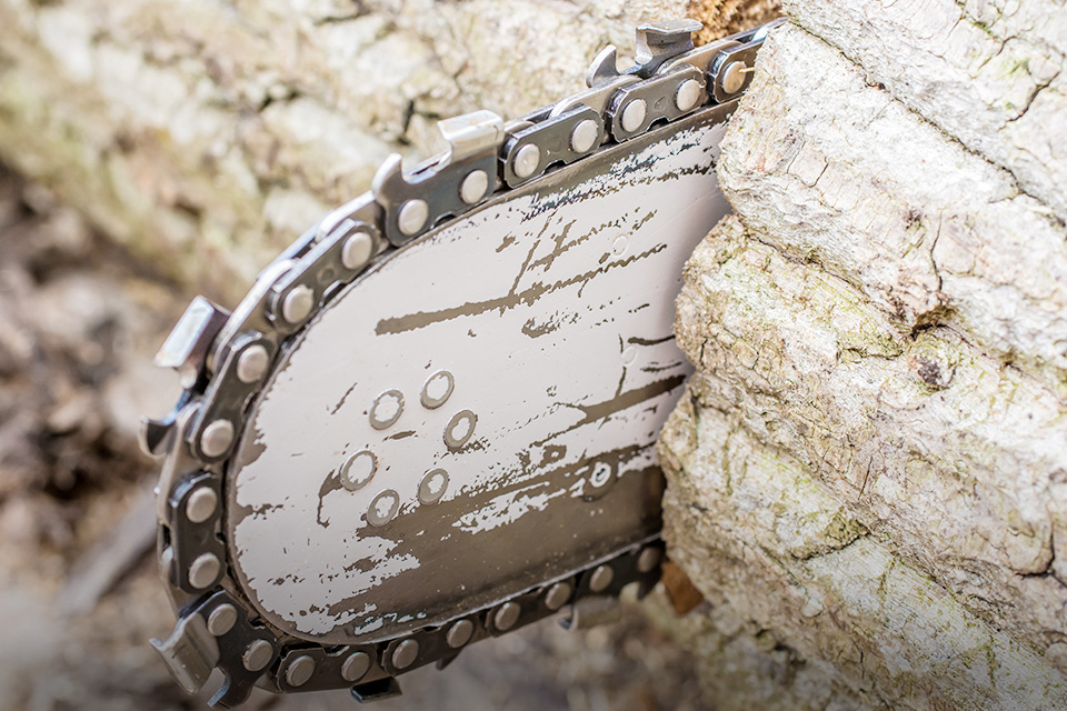 Olahraga Adu Cepat Potong Kayu Hanya untuk yang Tangguh