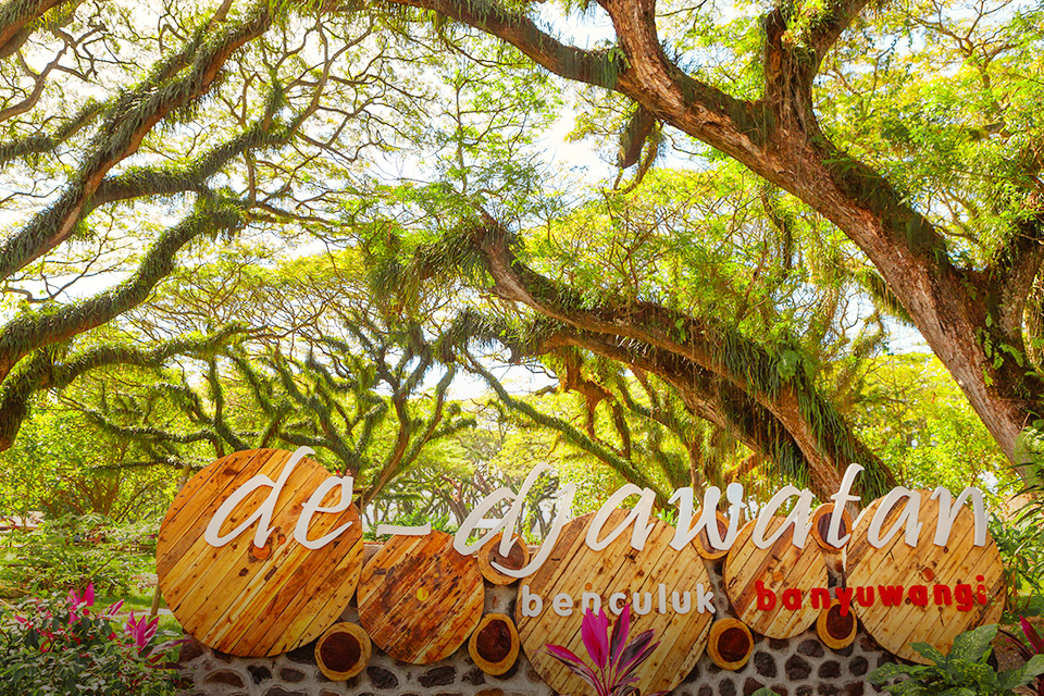 Deretan Hutan Instagramable, Hasil Foto Dijamin Bikin Puas