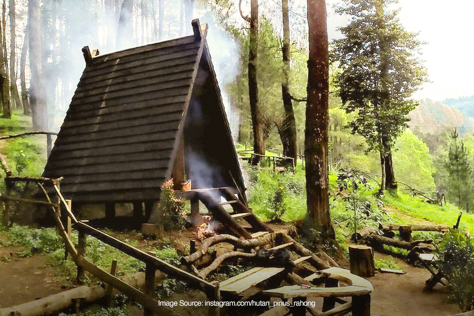 Hutan Pinus Rahong, Wisata Adventure Favorit di Pangalengan
