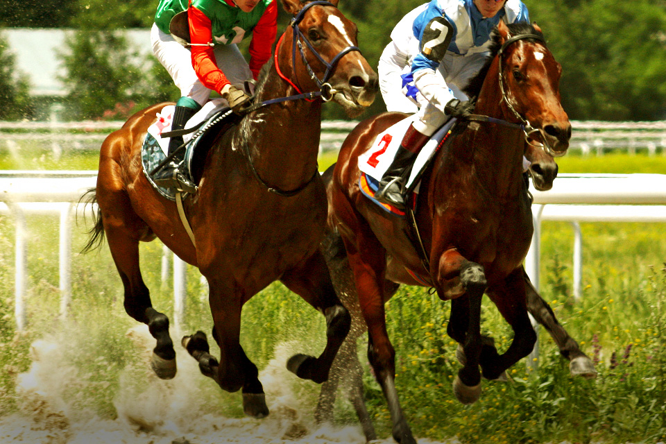 Deretan Tradisi Unik Perayaan Hari Kemerdekaan di Indonesia