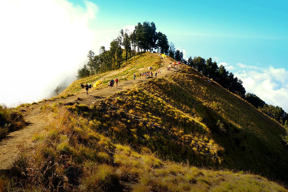 Waduh, Aksi 'Dugem' Bikin Bukit Savana Rinjani Sempat Ditutup