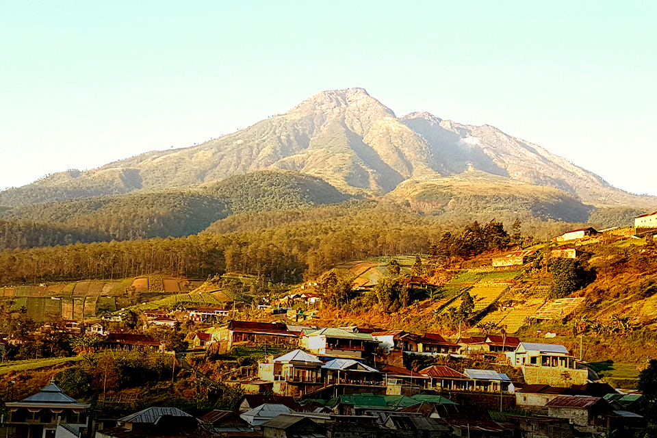 6 Jalur Pendakian Gunung Lawu, Mana Paling Seru Buat Dilewati?