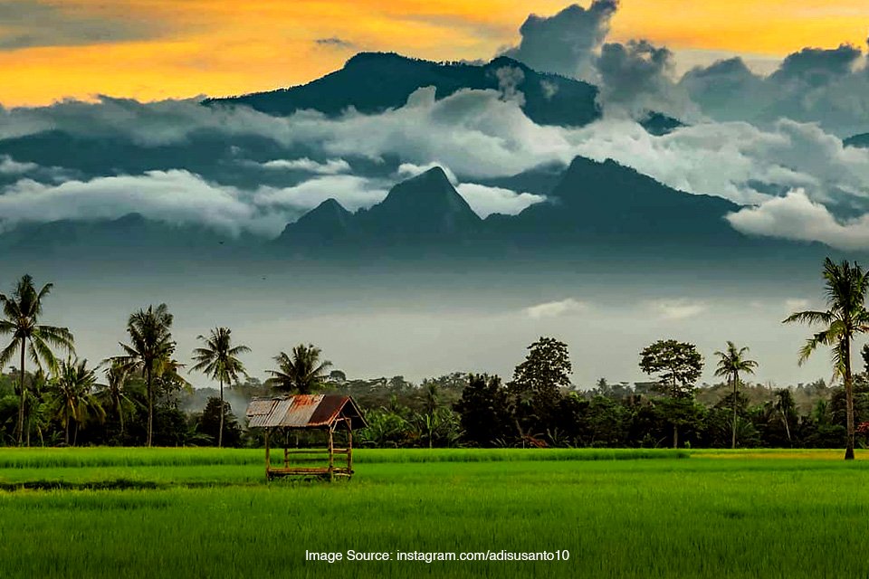 Gunung Argopuro, Trek Pendakian yang Panjang di Pulau Jawa