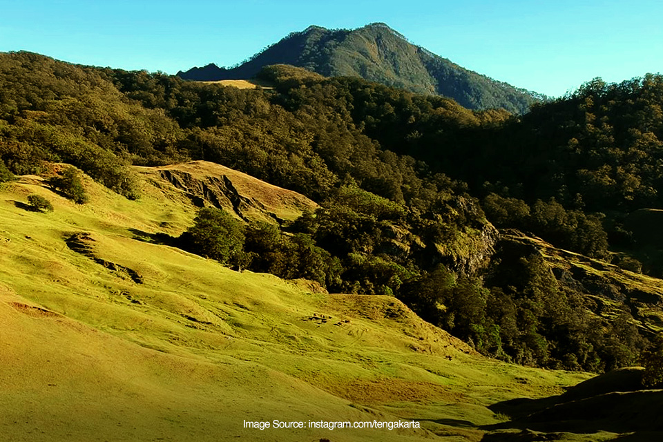 Eksotisme Gunung Mutis di NTT, Titik Bersemayamnya Raja Timor