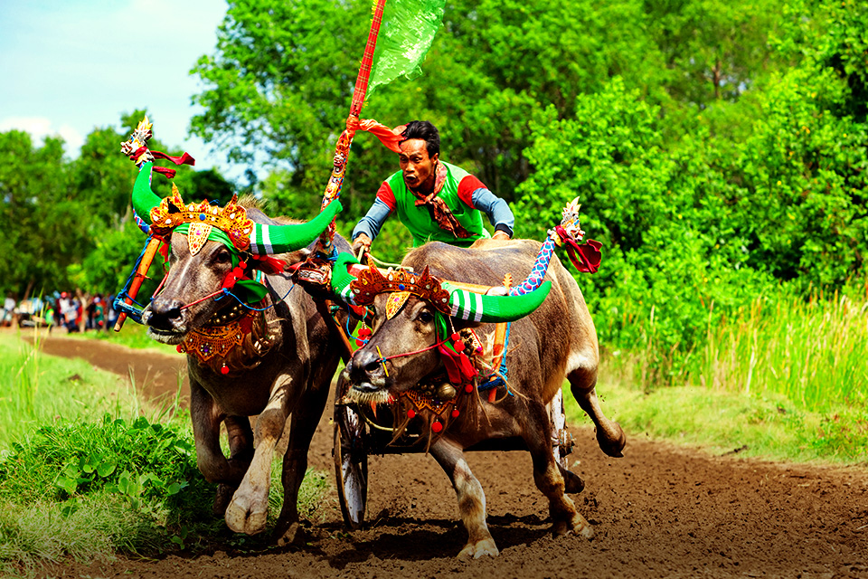 Beberapa Olahraga Tradisional Indonesia Yang Seru Dan Unik | SUPERLIVE