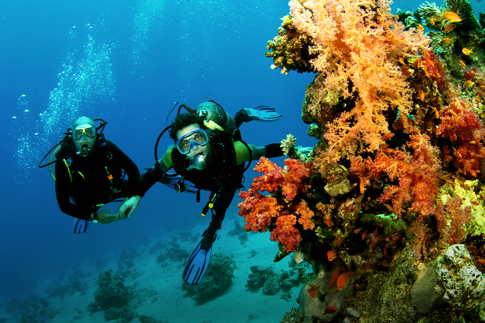 Diving di Karimunjawa Bisa Bikin Putus Atau Malah Jadi Pacaran, Benar Nggak Ya?