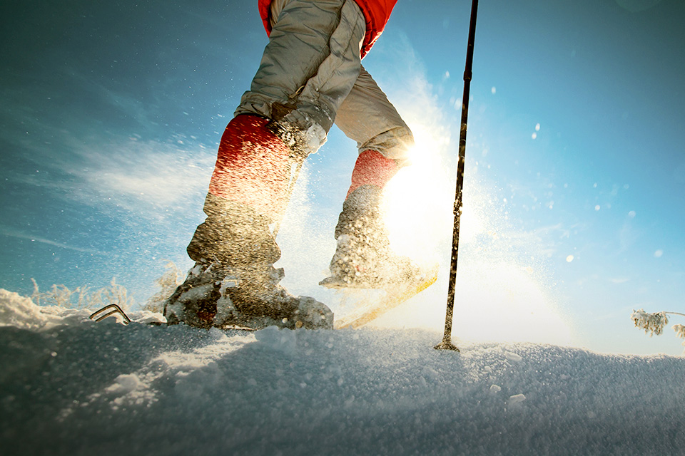 Kisah Nyata Survival di Gunung yang Paling Fenomenal