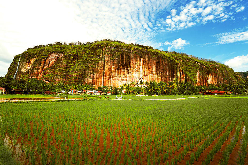 Melihat Lebih Dekat Tembok Alam Setinggi 500 Meter di Lembah Harau