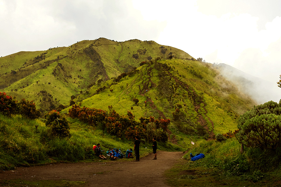 Gunung-gunung di Atas 2500 mdpl yang Cocok Buat Pemula