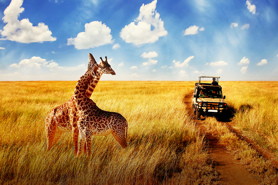 Hal yang Harus Lo Hindari Saat Berkunjung Ke Taman Nasional