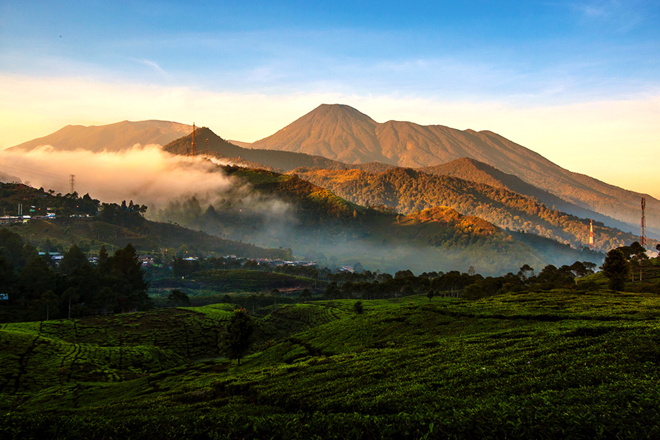 Tips Mendaki Gunung Gede Pangrango Saat Musim Hujan