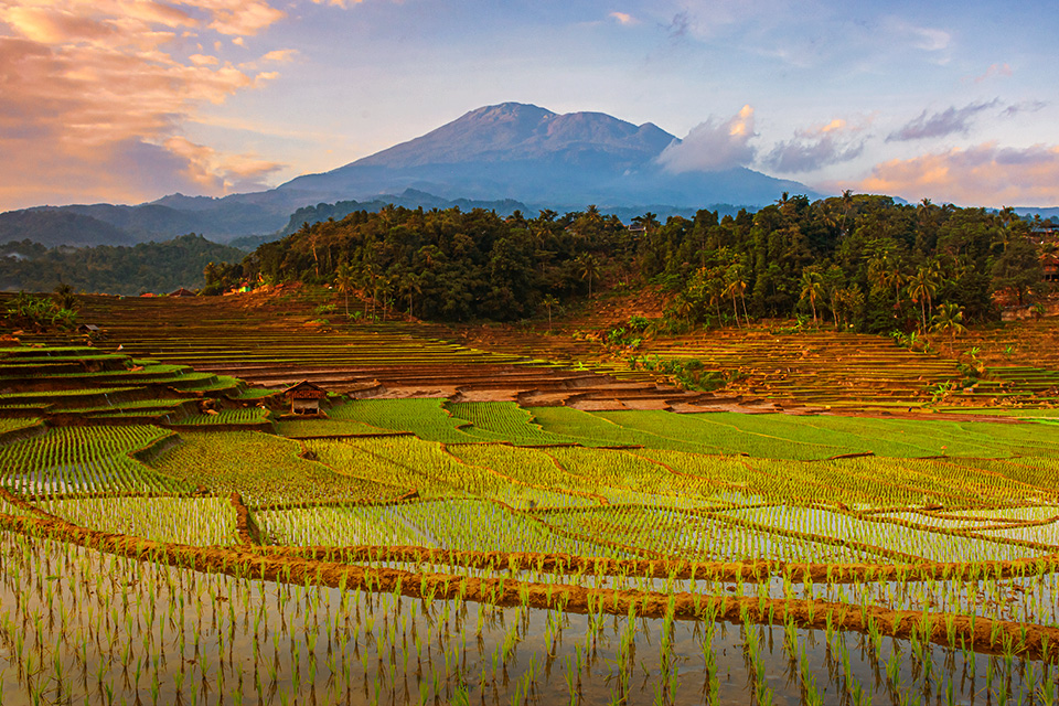 Mengenal 2 Jalur Pendakian Ciremai, Pilih Via Linggarjati atau Linggasana? Mengenal 2 Jalur Pendakian Ciremai, Pilih Via Linggarjati atau Linggasana?