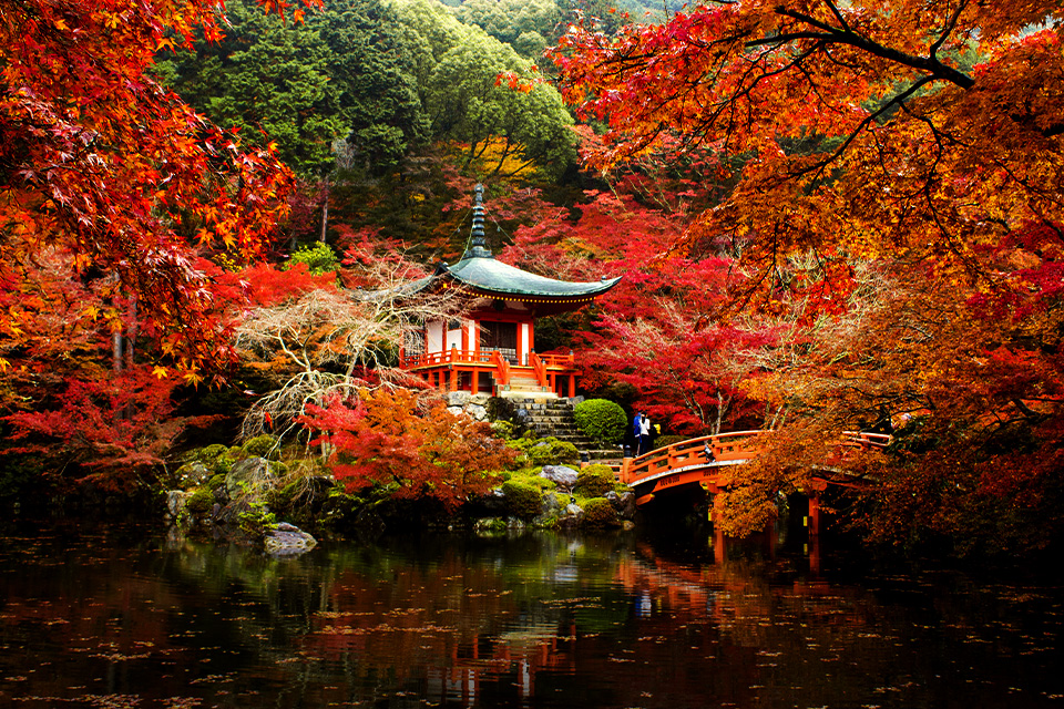 5 Kebiasaan Unik yang Dilakukan Orang Jepang di Bulan November