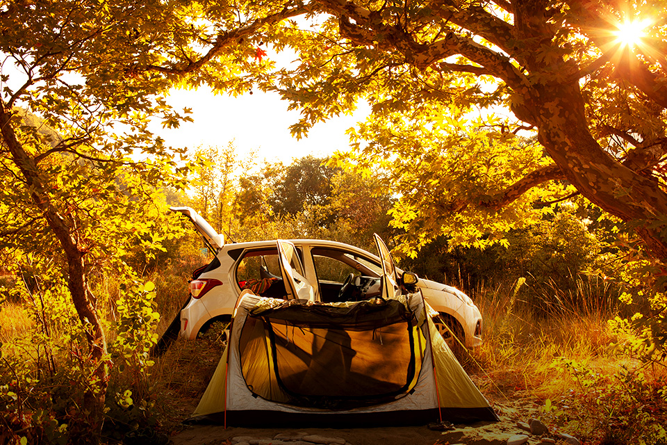 Serunya Camping di Cibodas, Mobil Bisa Parkir di Samping Tenda Bro!