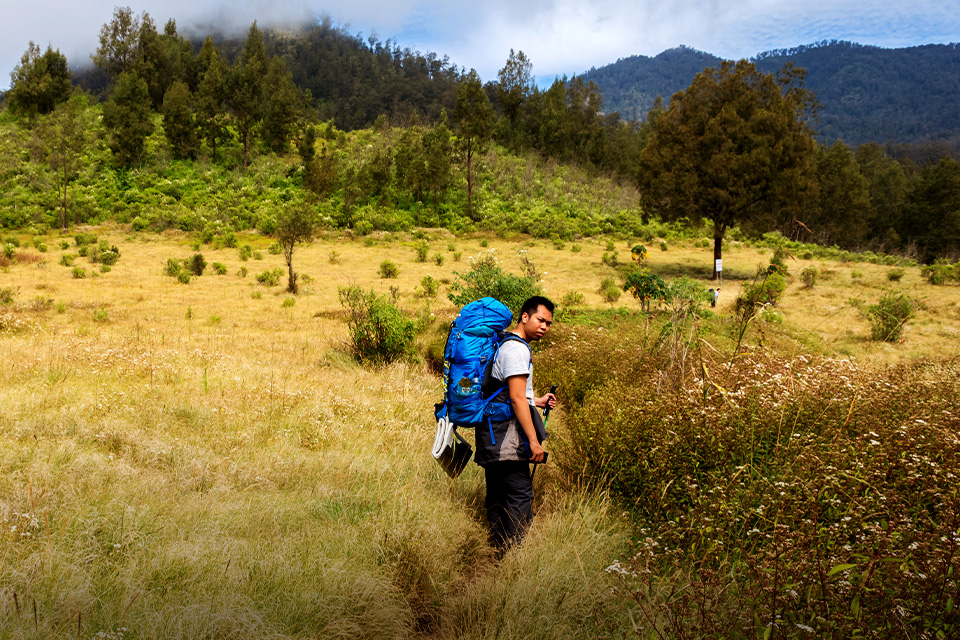 Sabana Gunung di Pulau Jawa yang Selalu Bikin Kangen Naik Gunung