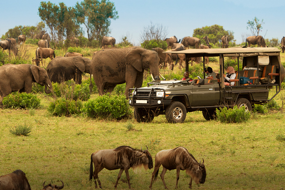 Liburan Menantang ala Petualang ke Negara dengan Alam yang Liar 