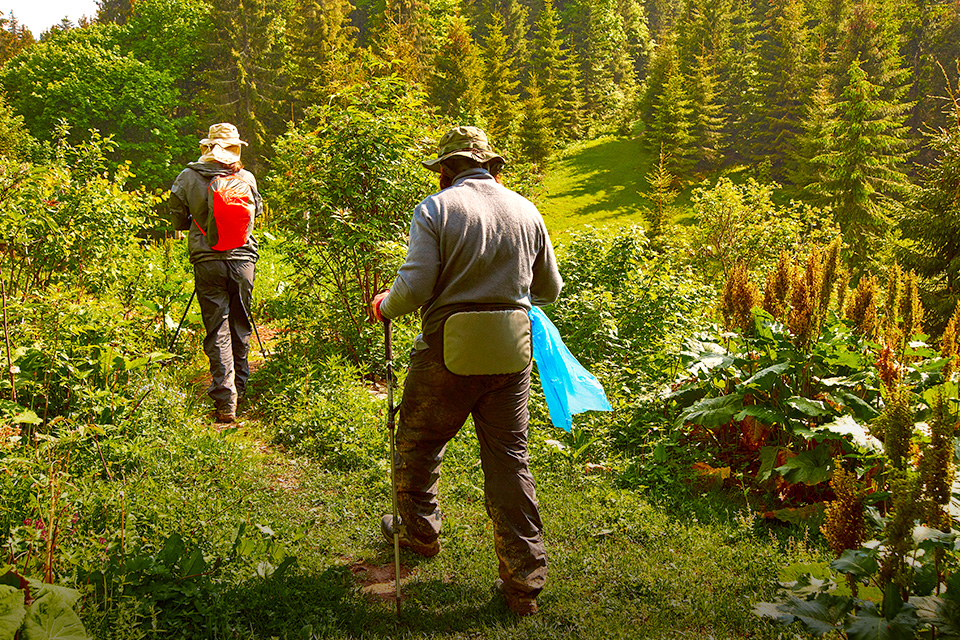 Mau Mendaki Gunung? Yuk Kenali Prinsip 'Leave No Trace’