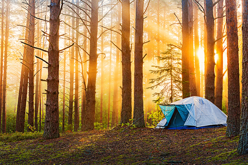 Ini Alasan Kenapa Lo Harus Cobain Camping, Bro!