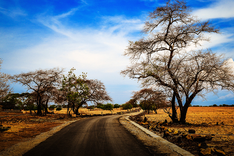 Objek Wisata Padang Rumput Menakjubkan di Pulau Jawa