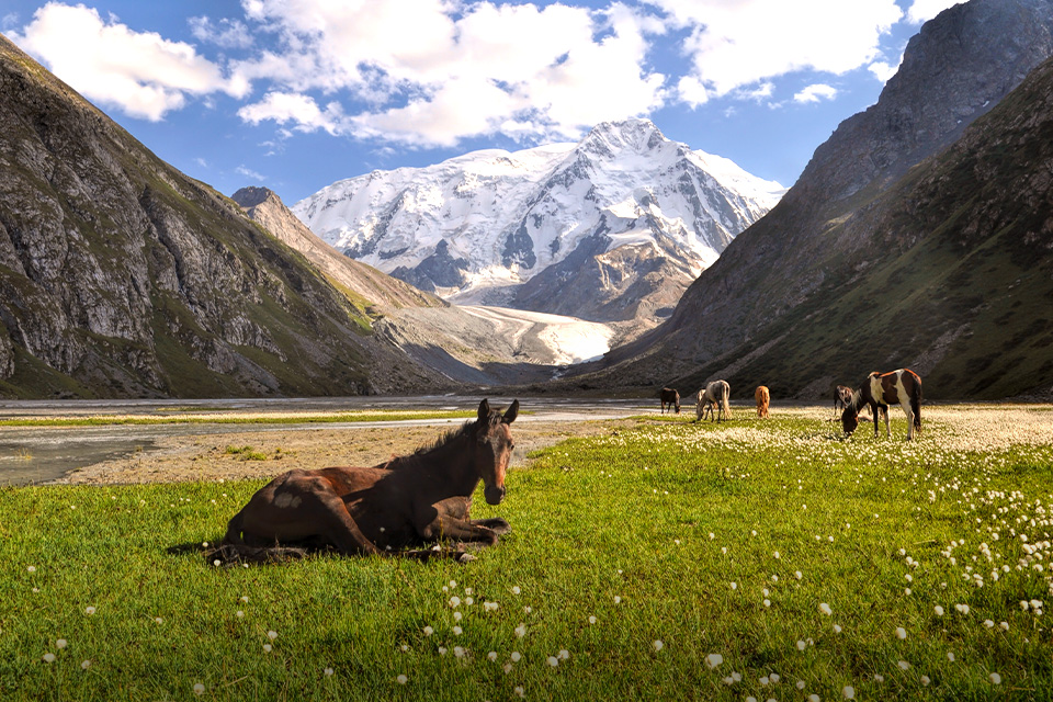 Destinasi Surga Bagi Para Backpacker yang Masih Jarang Dikunjungi