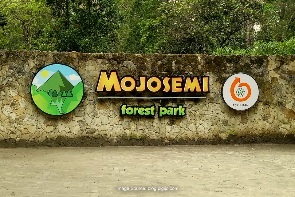 Mojosemi Forest Park, Taman Dinosaurus di Kaki Gunung Lawu