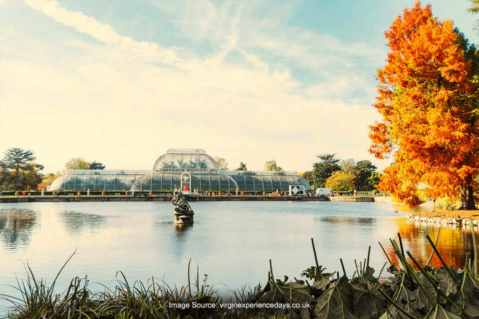 Wisata Taman Bunga yang Mempesona dari Berbagai Negara