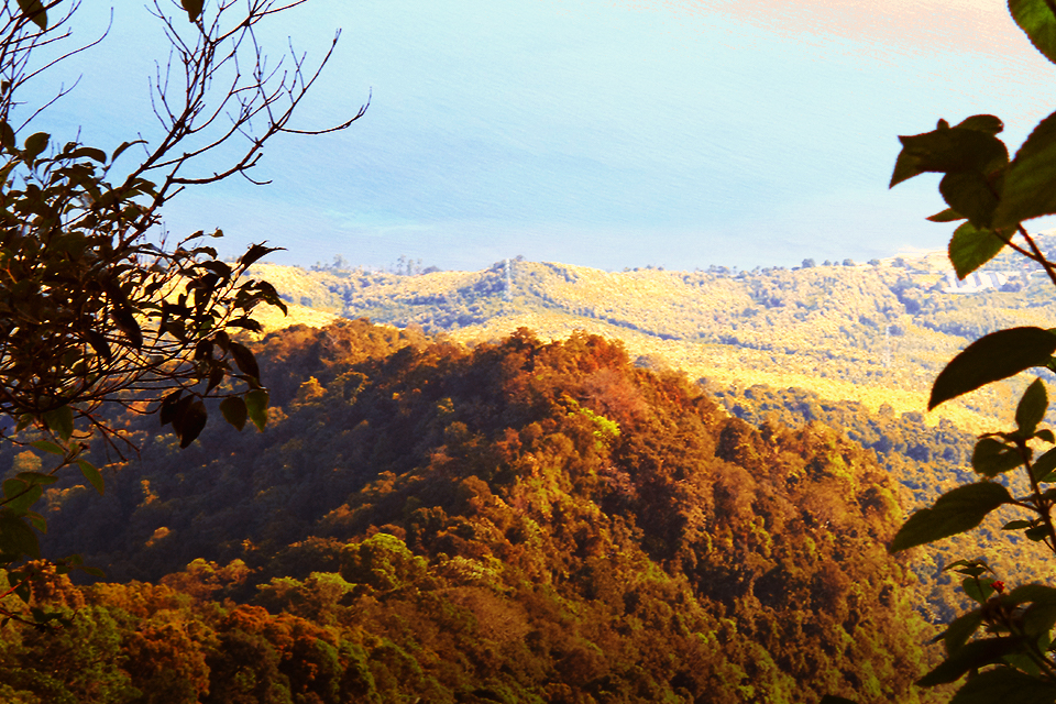Gunung Ringgit Situbondo, Surganya Pendakian Jalur Ekstrem