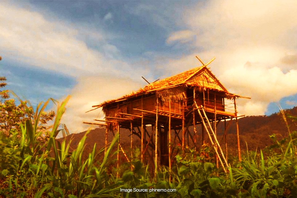 Suku Kaili Da’a, Tinggal di Rumah Pohon Hingga Titisan Kahyangan