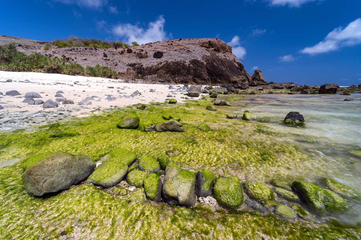 Tanjung Bongo, Pesona 'Raja Ampat Mini’ di Halmahera Utara