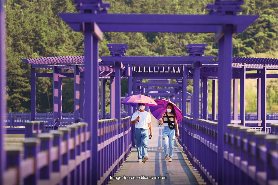 Gemas! Ada Pulau Serba Ungu di Korea Selatan