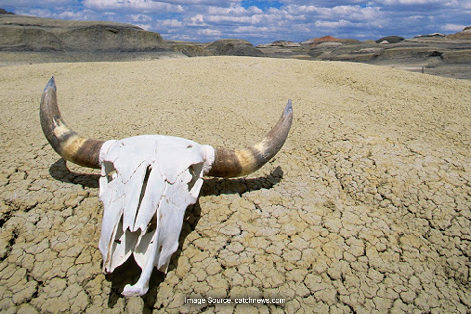 Fakta Unik Death Valley, Tempat Ekstrem dan Terpanas di Bumi Fakta Unik Death Valley, Tempat Ekstrem dan Terpanas di Bumi