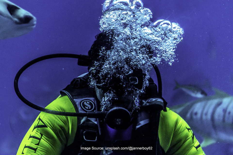 Unik, Begini Isyarat Tangan untuk Fauna Laut Bagi Penyelam