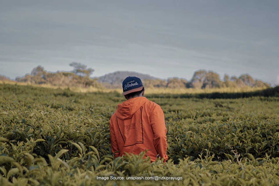 Nggak Perlu Jauh, Pemandangan di Kaki Gunung Kencana Bogor Juga Ciamik!