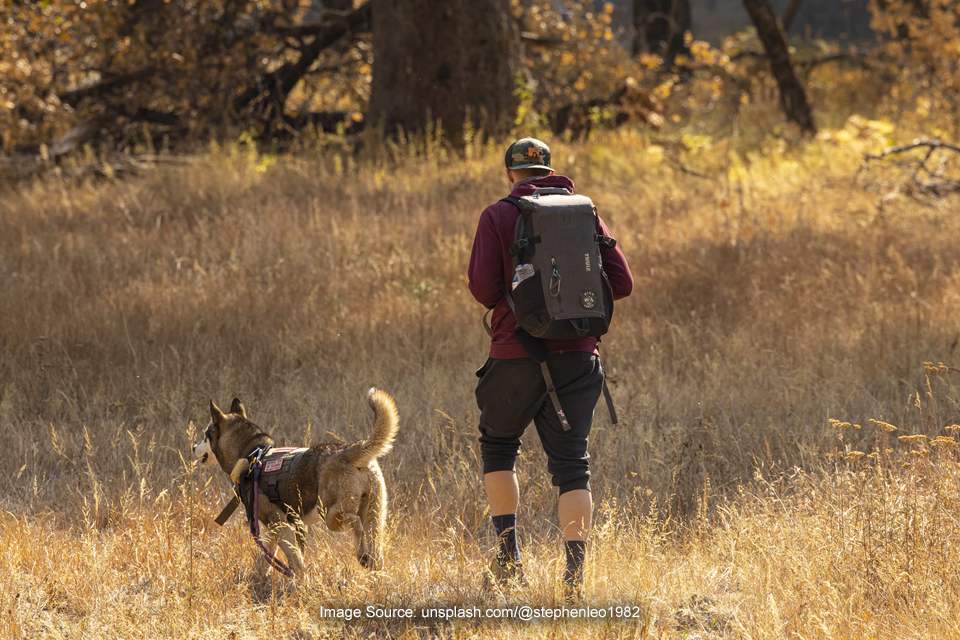 Bertualang Sama Hewan Peliharaan, 5 Lokasi Ini Cocok Jadi Tujuan