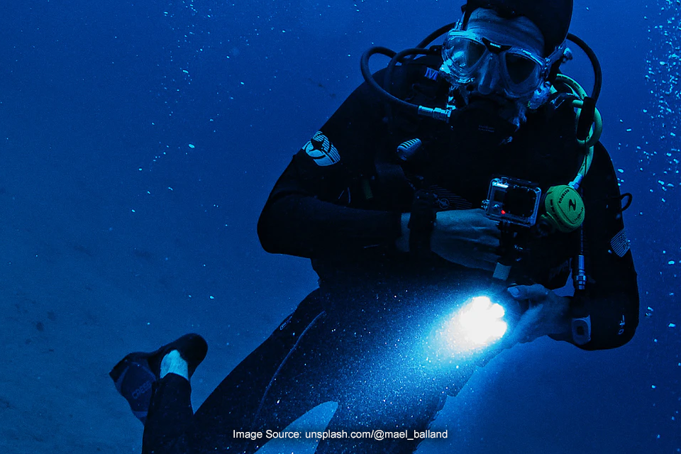 Panduan Memilih Lampu Buat Menyelam di Laut