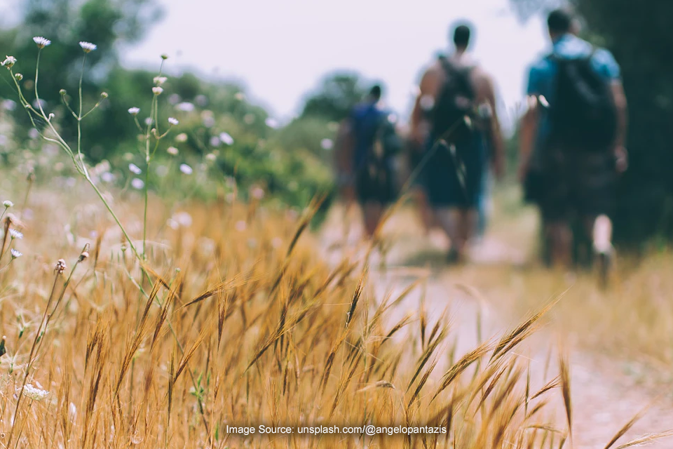 Mendaki Gunung Cikuray, Ini 6 Jalur Pendakian yang Bisa Dilalui