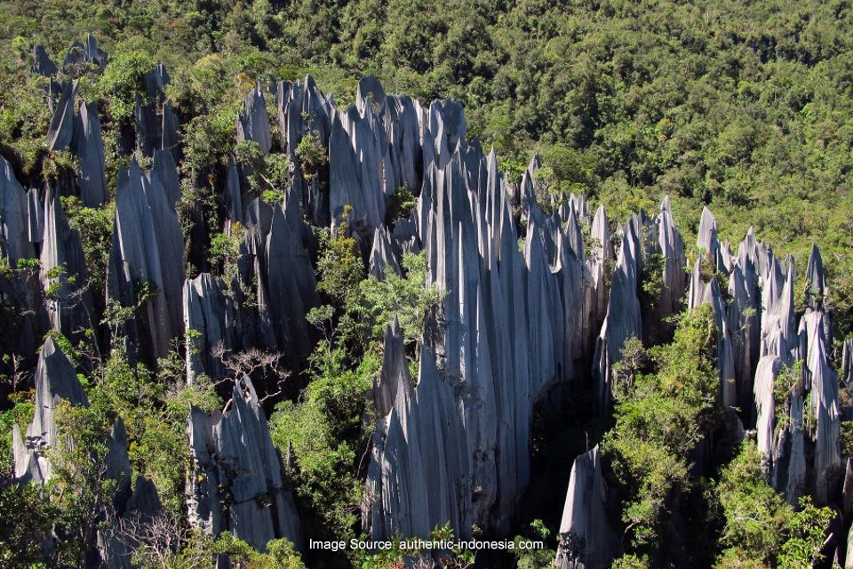 Taman Nasional Kayan Mentarang, Keragaman Hayati di Perbatasan Negeri