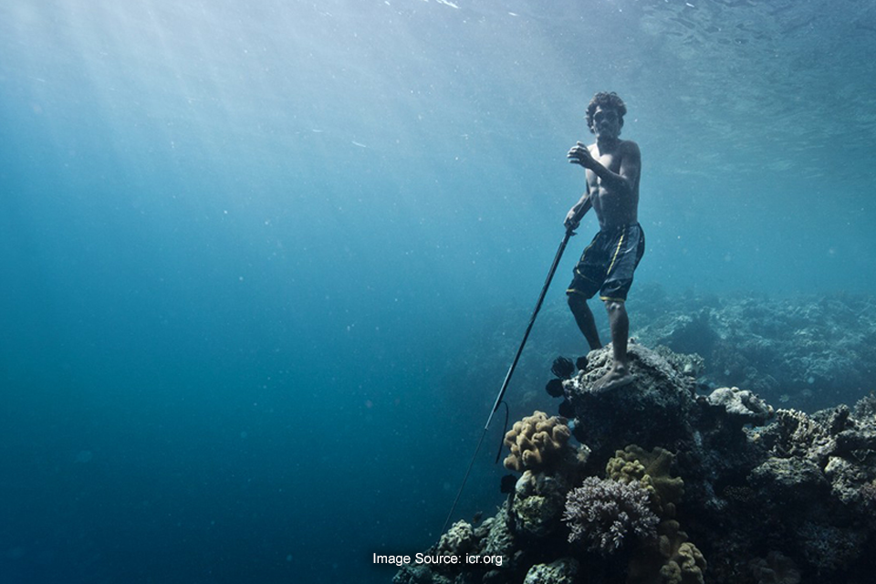 Mengenal Suku Bajo, Penyelam yang Dikenal Andal