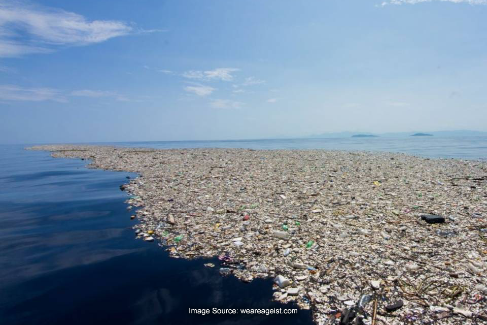 Great Pacific Garbage Patch, Pulau Sampah Terbesar di Dunia