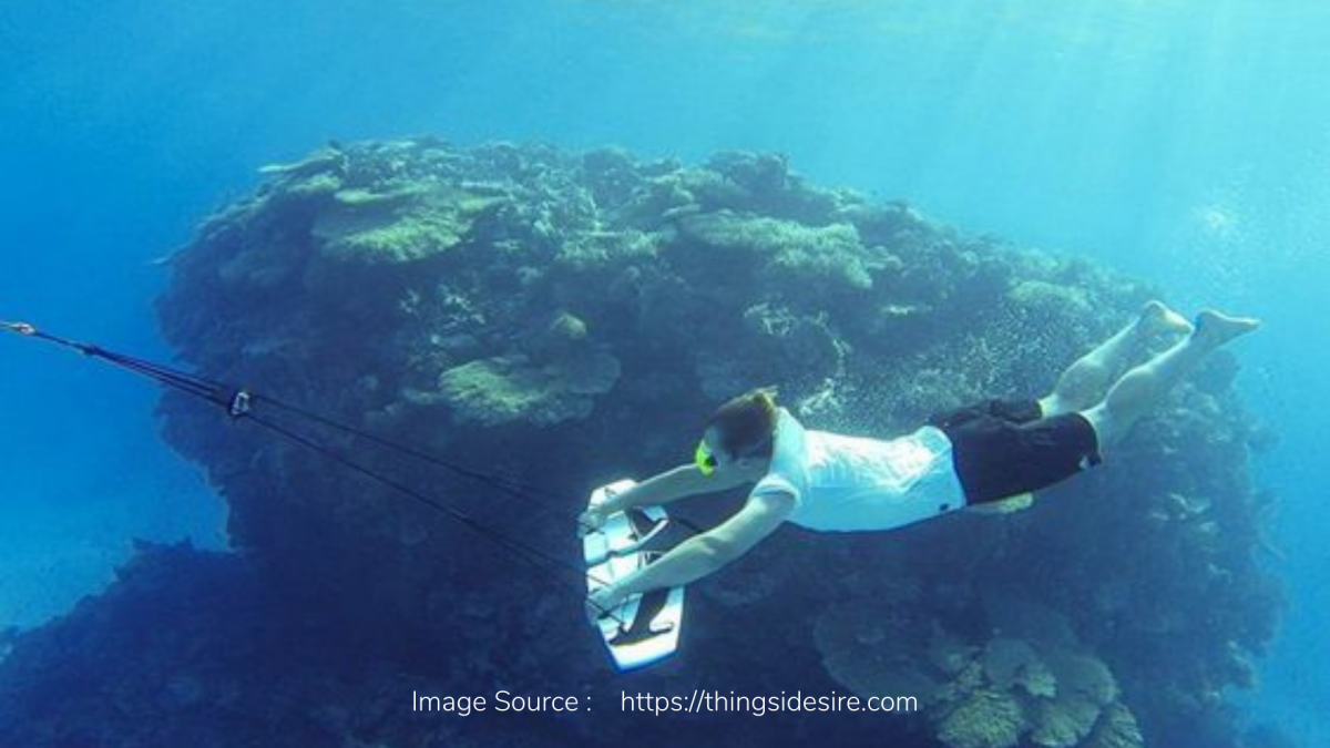 Subwing, ‘Terbang’ di Air Menikmati Keindahan Bawah Laut