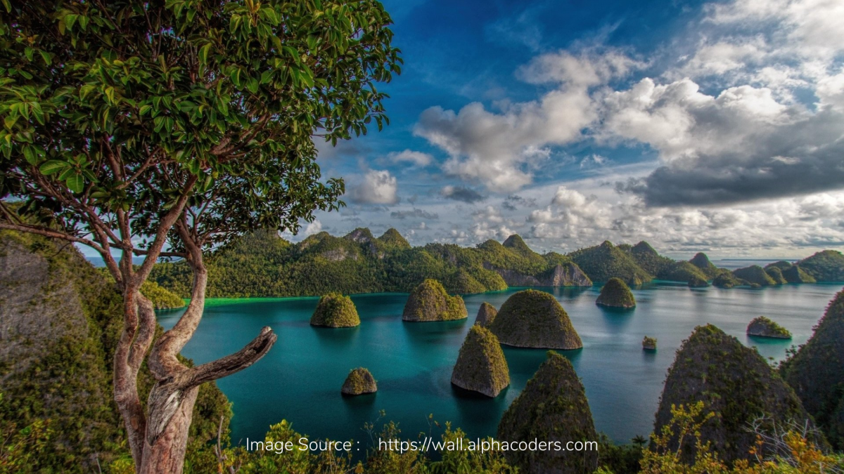 Cara Terjangkau ke Raja Ampat di Papua Barat dari Jakarta!