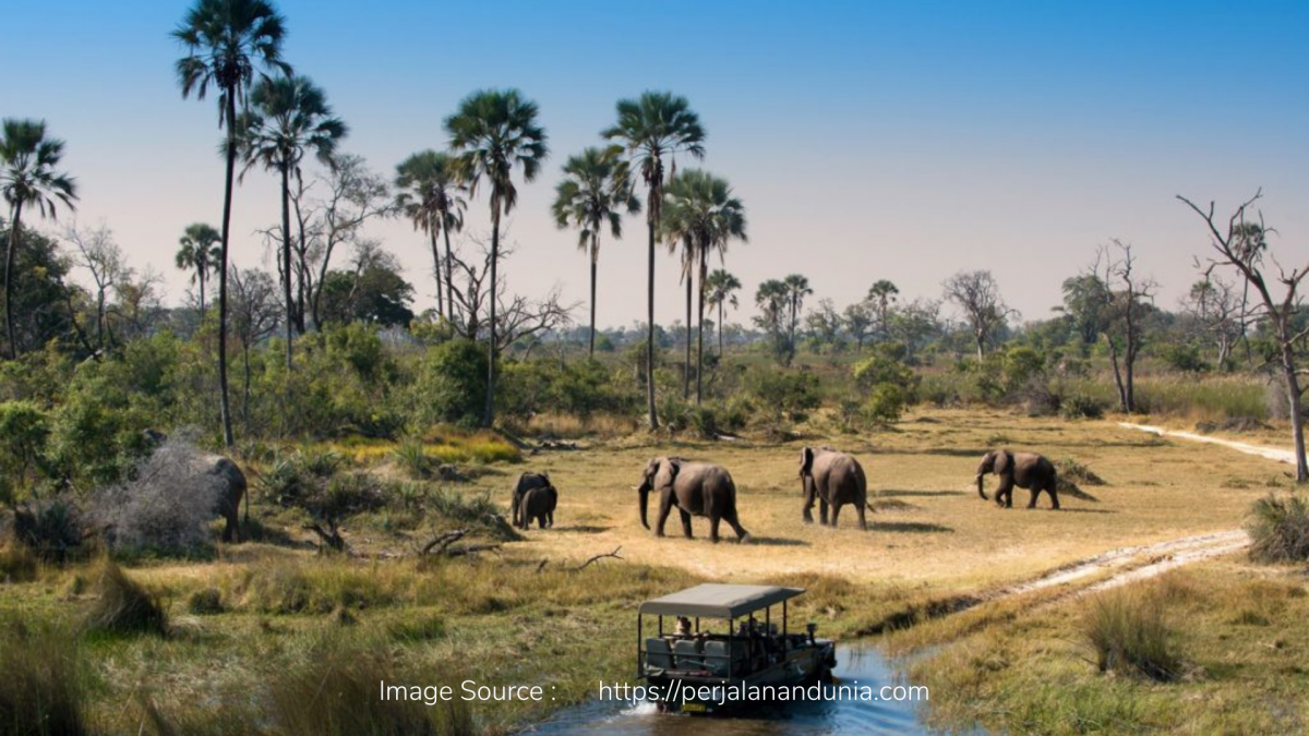 Survival Alam Bebas, Coba Nih Wisata Safari ala Afrika di Asia