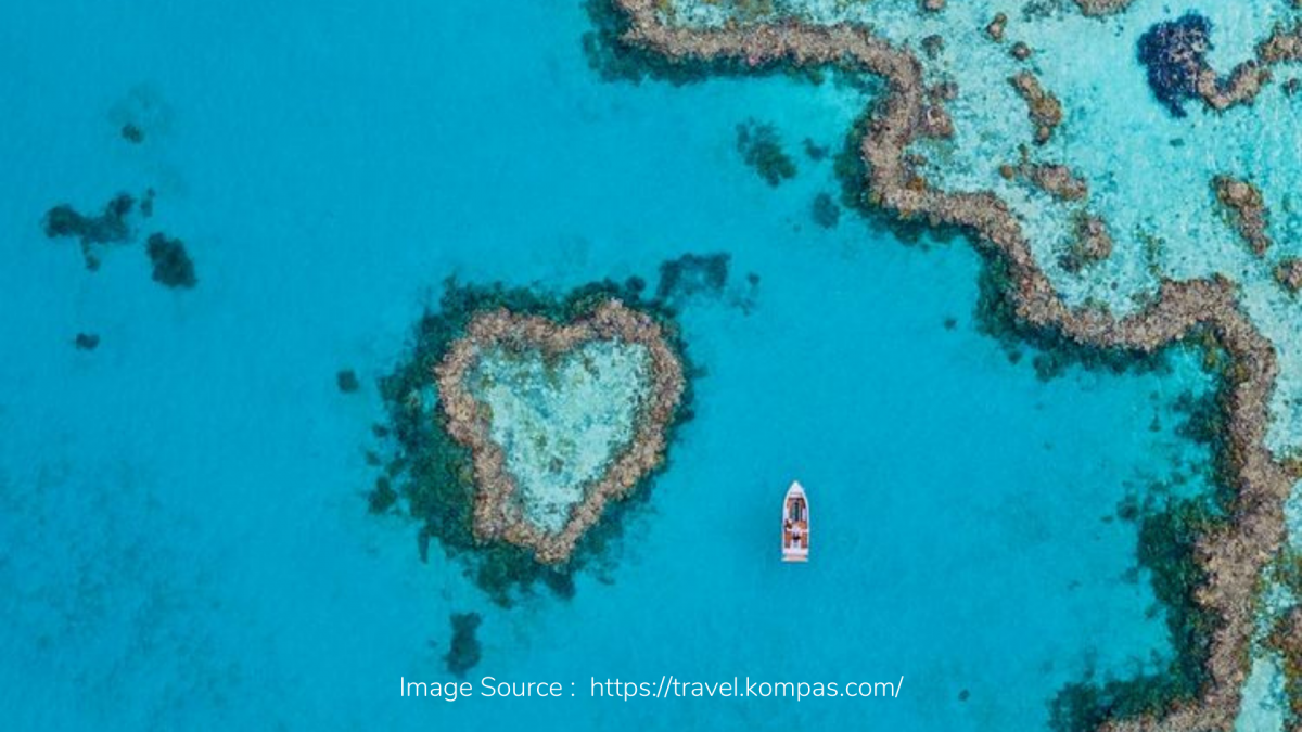 Satu Dekade Ditutup, Terumbu Karang Terlarang Ini Akhirnya Dibuka