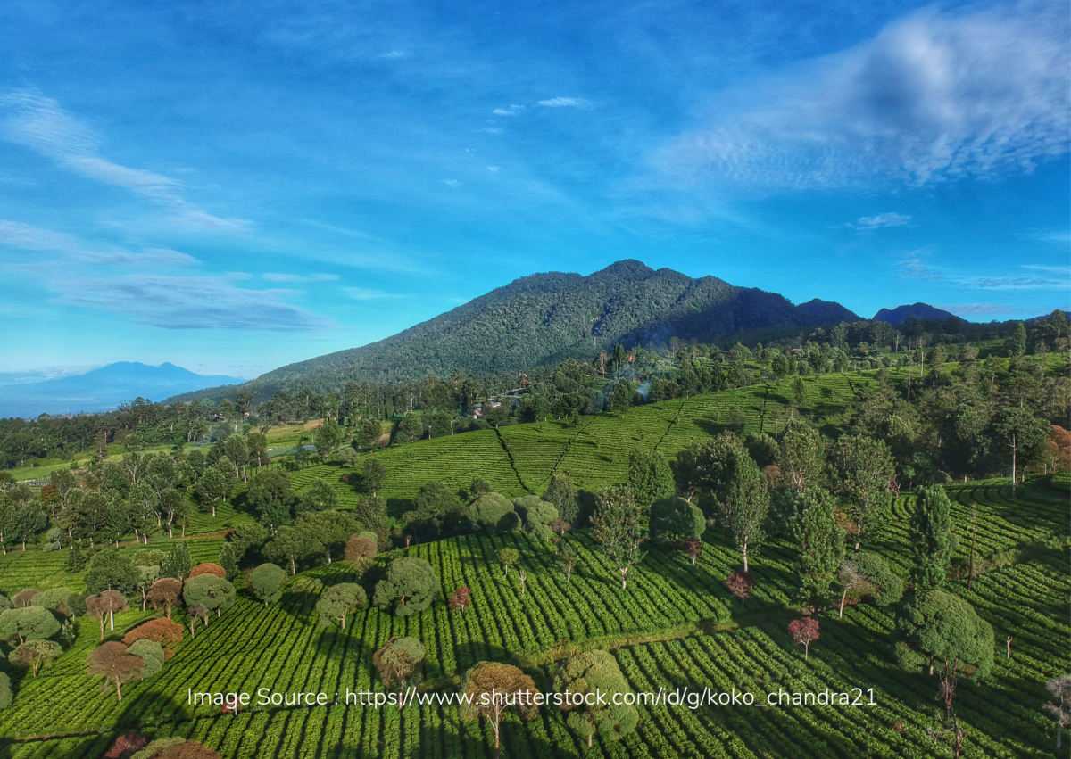 Tentang Pendakian Gunung Burangrang dan Keistimewaannya